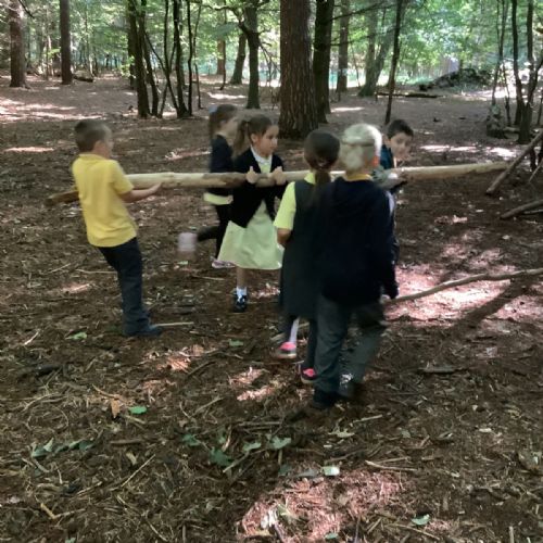 Whole school Thetford Forest Trip - Year 2 pupils