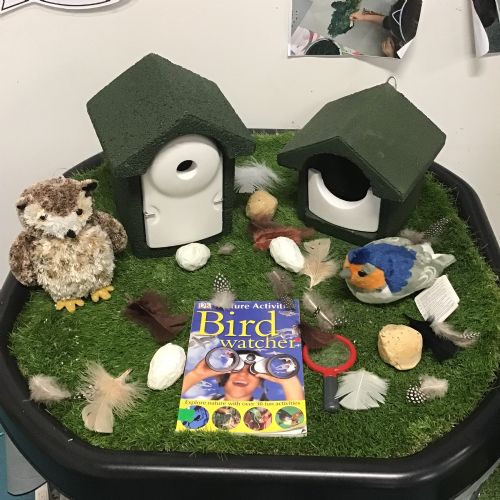 RSPB Big Garden Birdwatch!