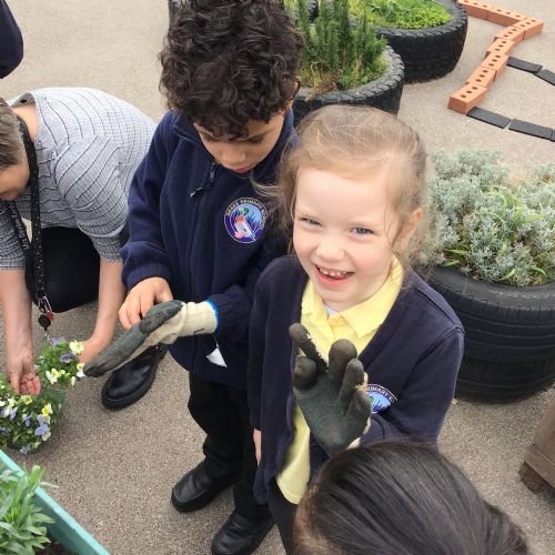 Planting