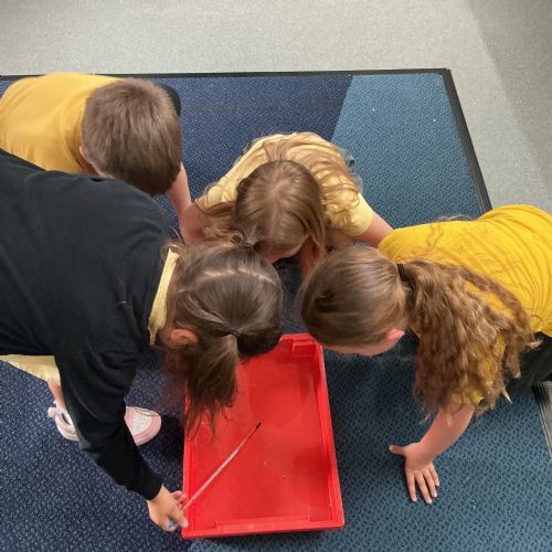 Maths - measuring temperatures