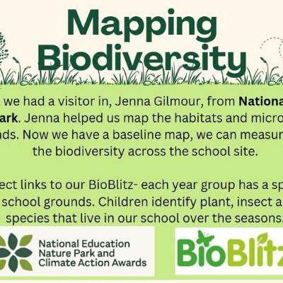 Biodiversity -2