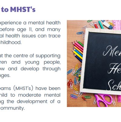 Mental Health Support Team