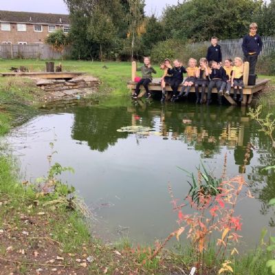 Exploring our new wetland area