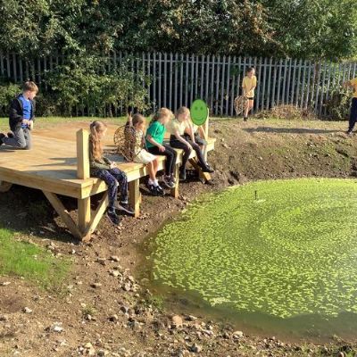 Our new pond area is in development