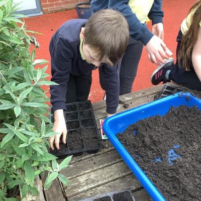 Planting seeds