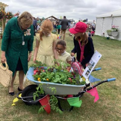Gardening Club worked with Eco Council to create a Norfolk Show wheelbarrow garden