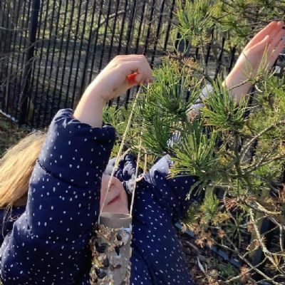 Bird Feeders