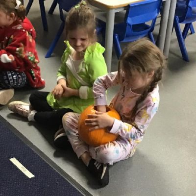 DT - Exploring the pumpkin