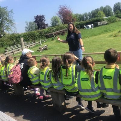 Year 1 Suffolk Owl Sanctuary Trip