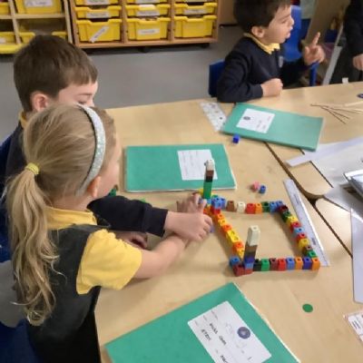 Science - Three little pigs investigation!