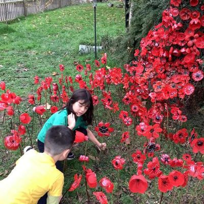 Remembrance Day