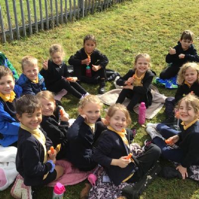 Orienteering fun