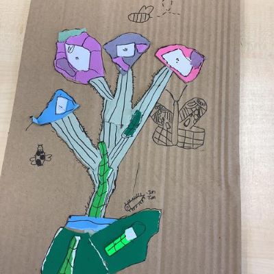 Year 5 created pictures of Common Butterwort