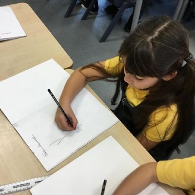 Art - Feely Drawings - ‘blind’ observational drawings using our sense of touch!