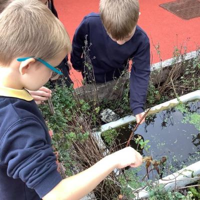 BioBlitz: We explored the red playground in Autumn