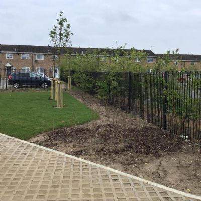 Our New Forest Schools Site April 2023