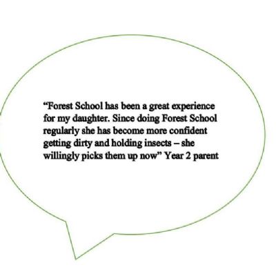 Quotes from parents and volunteers
