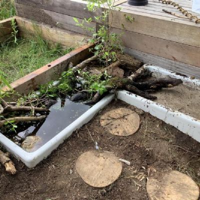 Garden Progress July 21 - 2
