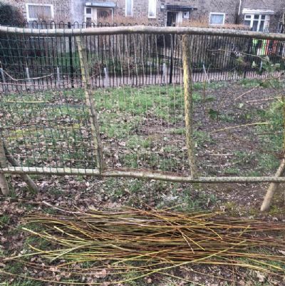 Garden Progress Feb 21
