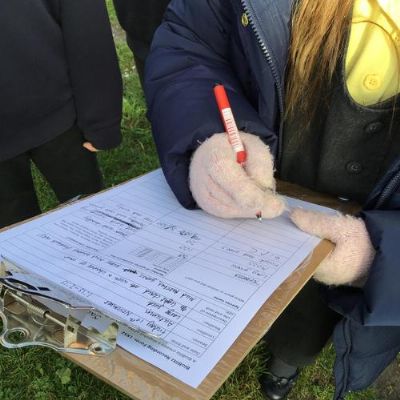 Science: Bioblitz project