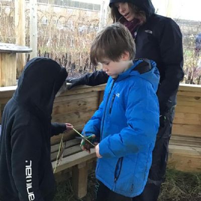 Arday Forest School