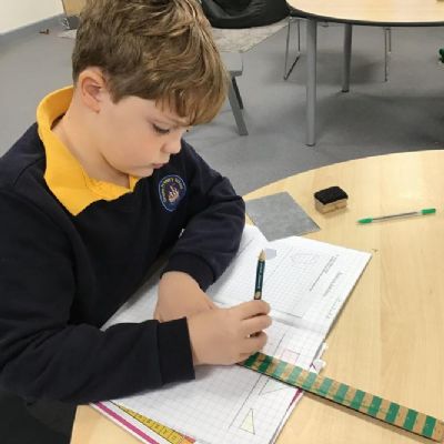 Arday learning across the curriculum