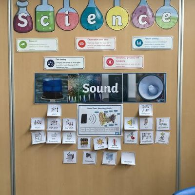 Science working walls and vocabluary walls