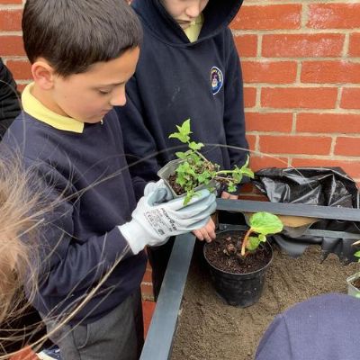 Eco - Mia Witham visited on Thursday and ran a planting session