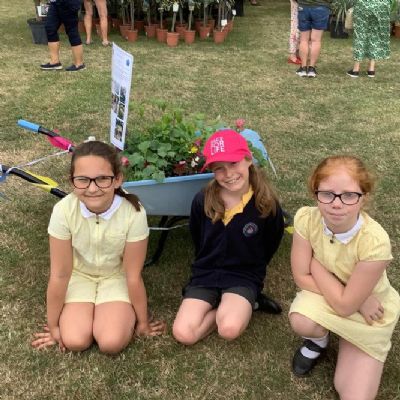 Eco Council worked with Gardening Club to create a Norfolk Show wheelbarrow garden