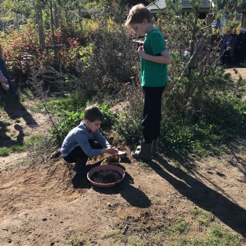 Forest School