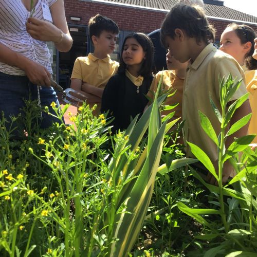 Rainwater planter workshop