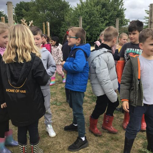 Building dens