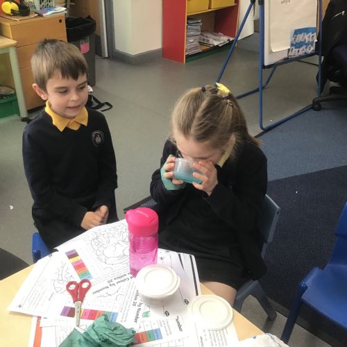 Science- Exploring using our 5 senses
