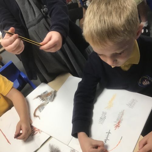 Art - Observational Drawing of feathers