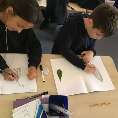Art: Drawing leaves